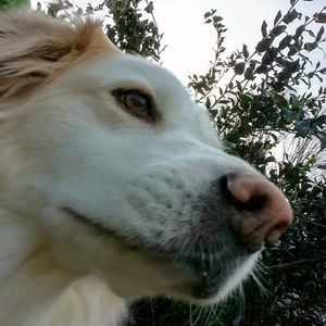 Meet your Posher, Jen